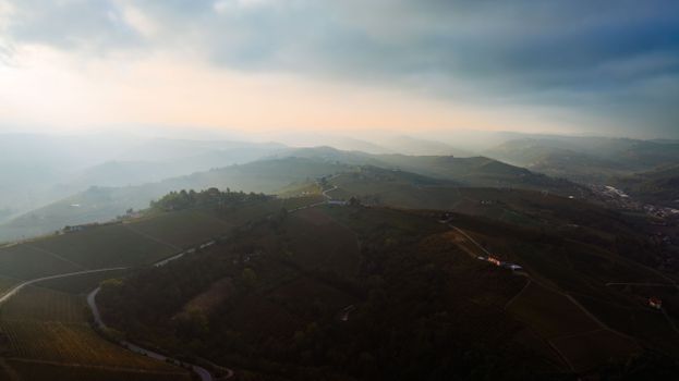 Vinogradi v Vipavski dolini